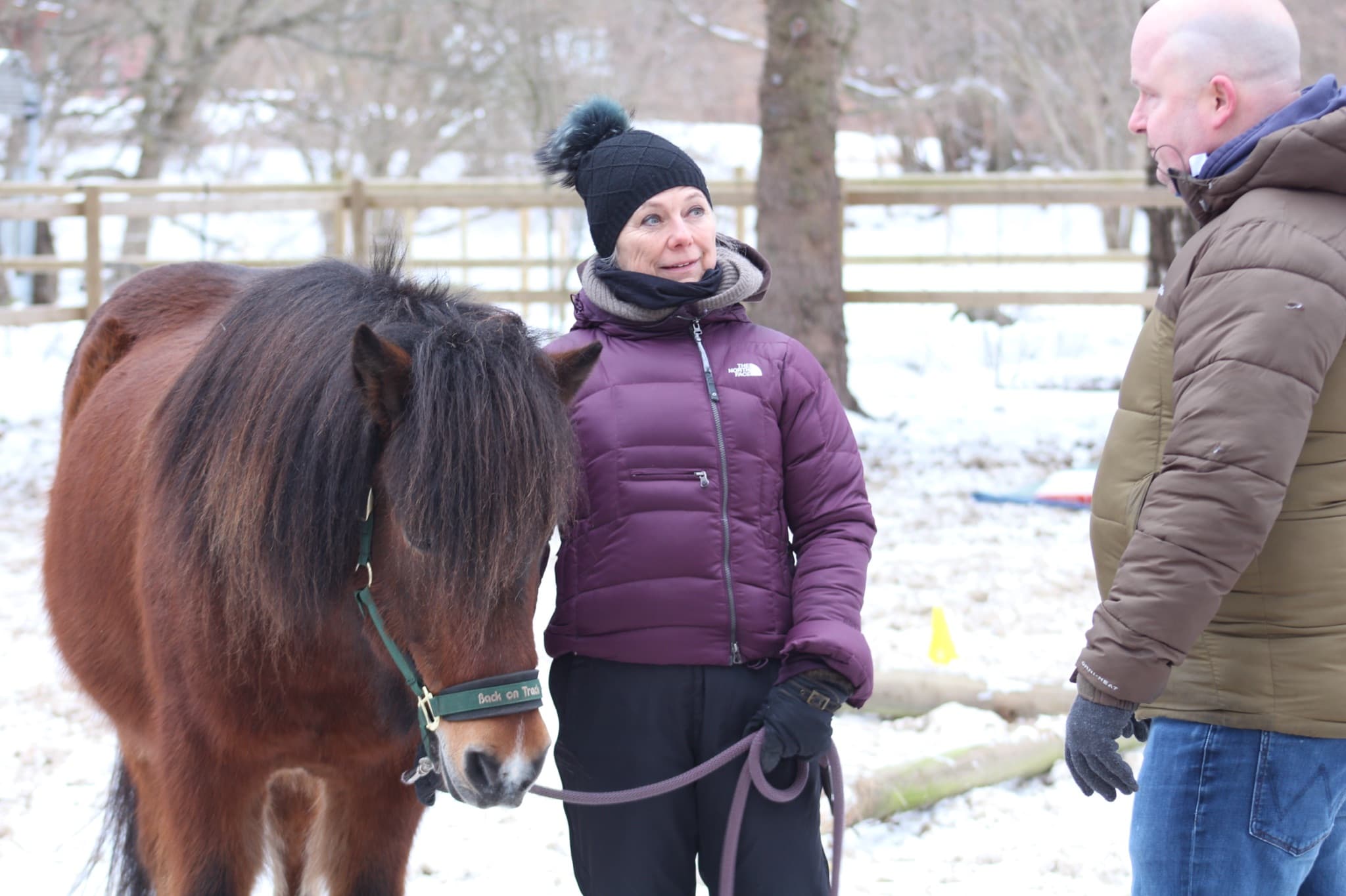 Katja Johannesen, Selvstændig coach og Freelance konsulent - deltager i hesteassisteret workshop
