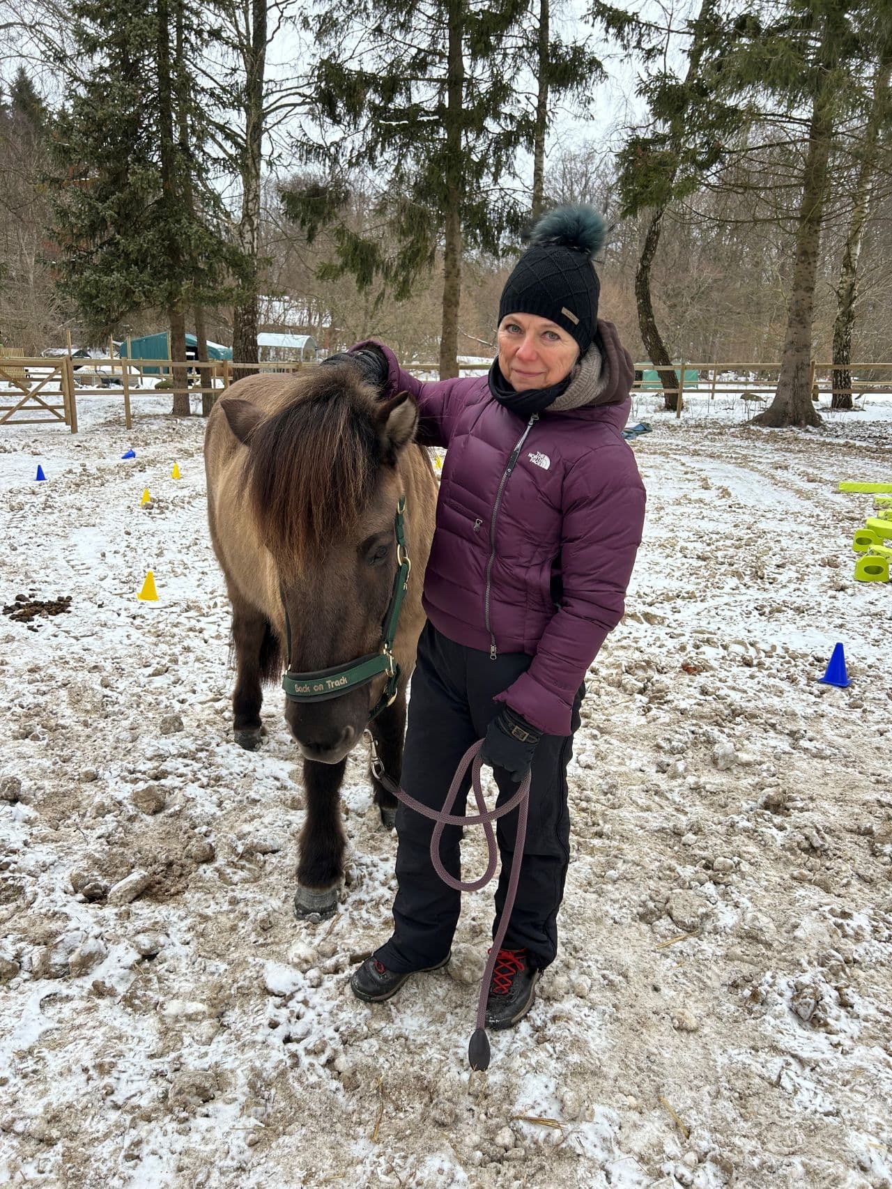 Deltager i hesteassisteret lederudvikling