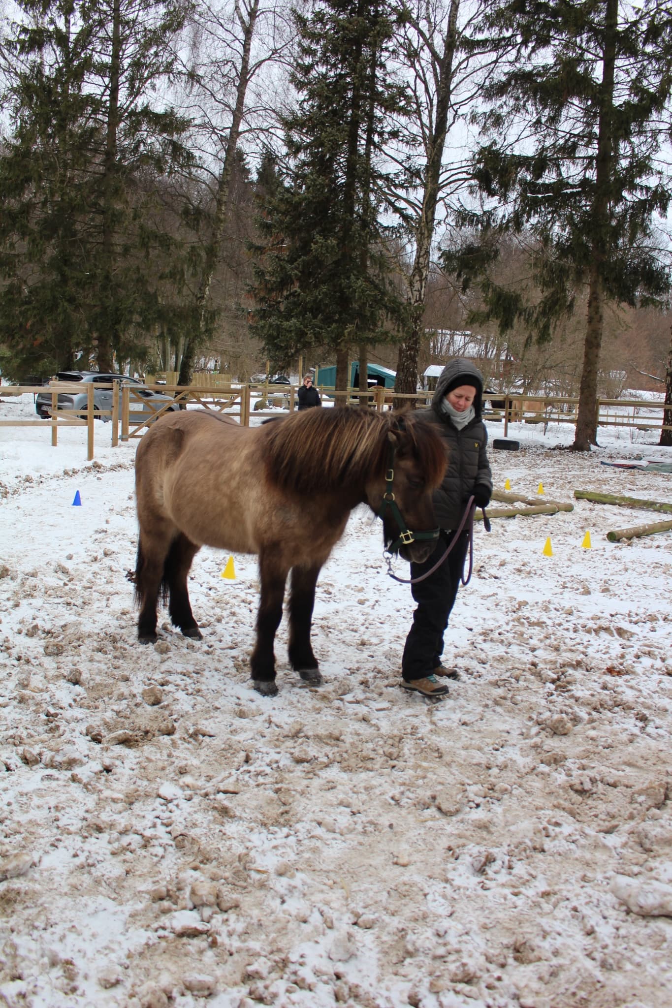 Heidi Frigård, Change Manager, Nets Group - deltager i hesteassisteret workshop