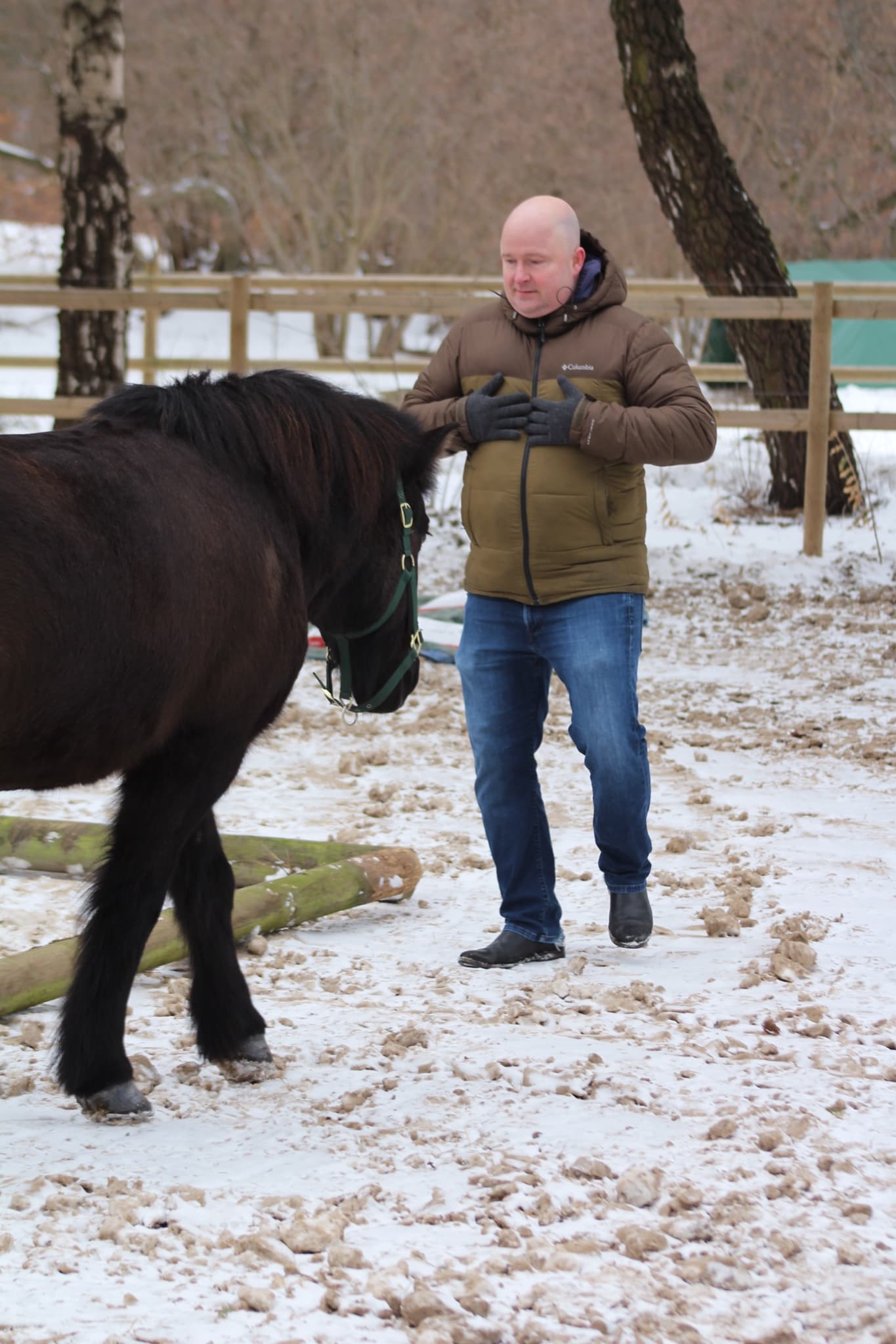 Storm og Ganti - hesteassisteret læring